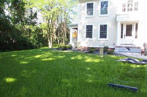 gal/Button House - Restoration/tn_DCP_995.jpg